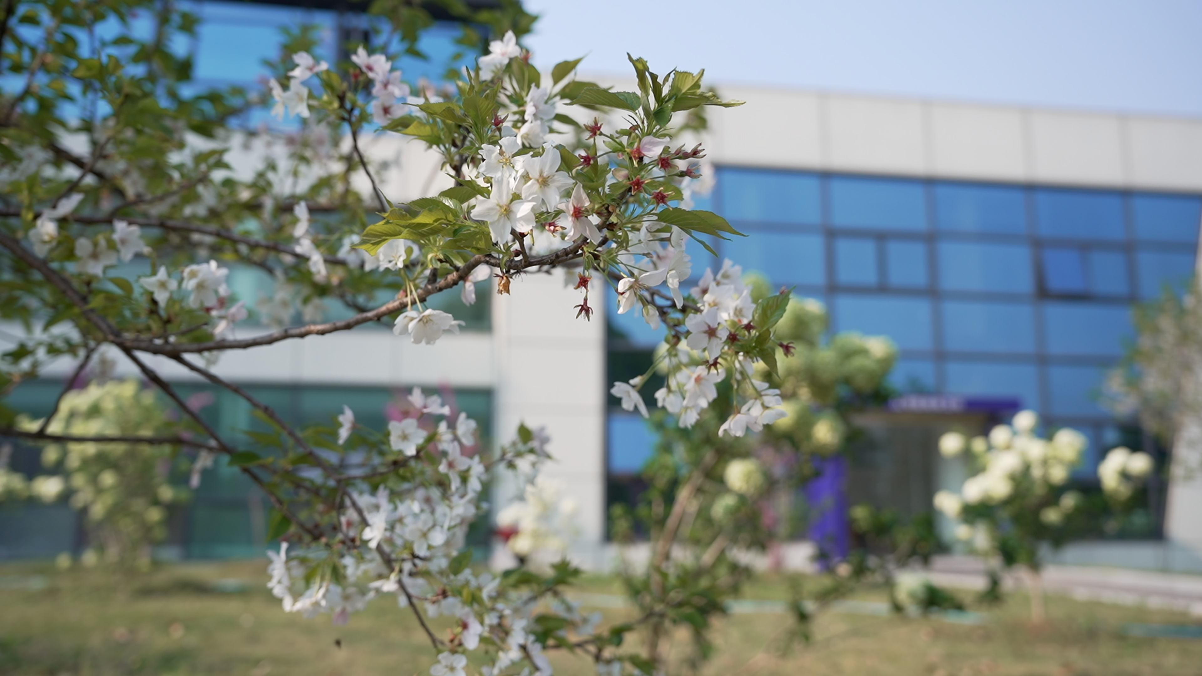 重磅官宣!长沙江湾医院盆底康复中心启幕