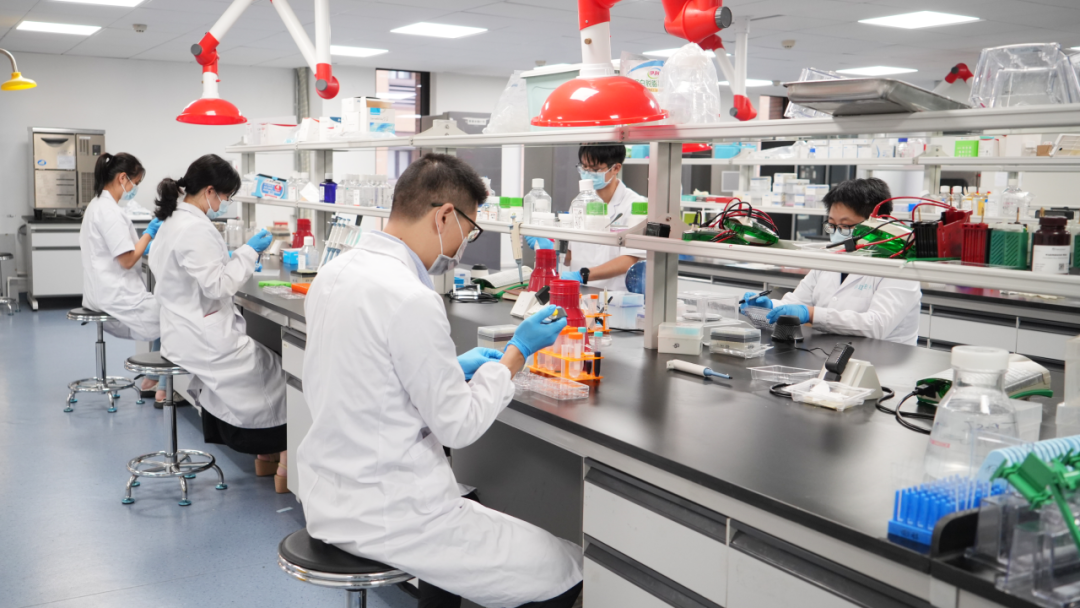 深耕产学研 赋能新未来——江湾 2025 年度拾光