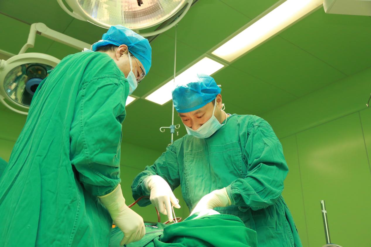 地铁口直通诊室！院内免费摆渡！  武大中南医院破解就诊最后百米难题