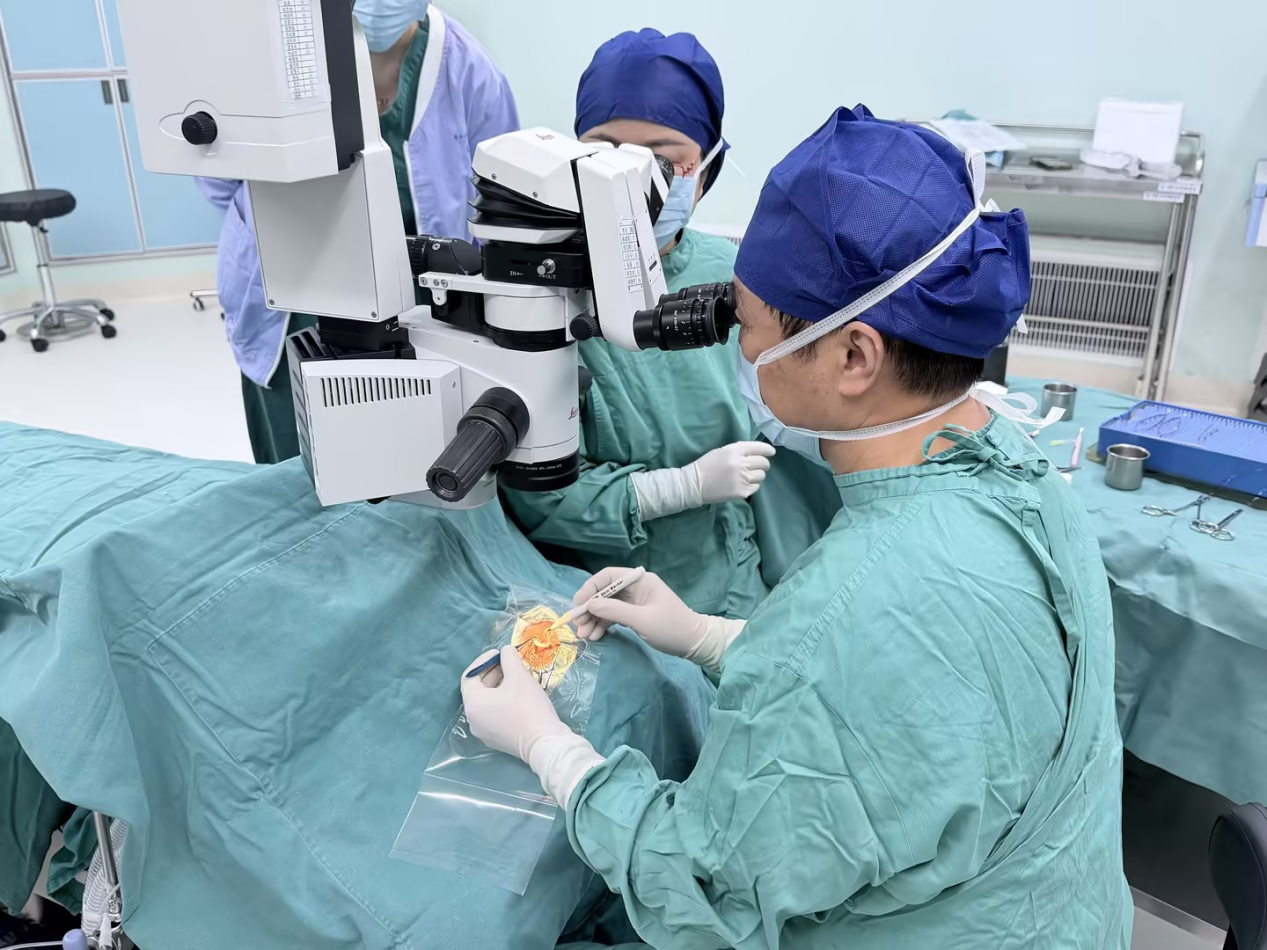 「在鸡蛋内膜上剥蛋壳」！  南方科技大学医院成功开展深板层角膜移植术