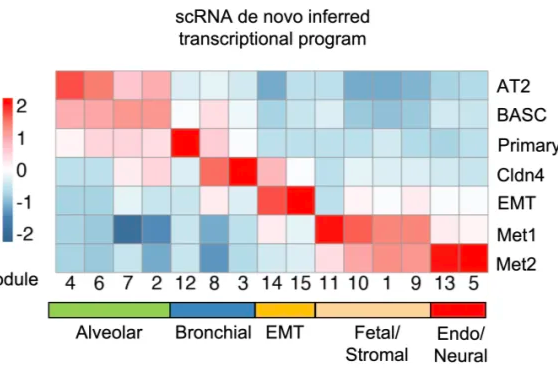 张翼团队揭示谱系转分化驱动泛癌转移