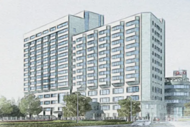 自制霉豆腐「翻车」：专家提醒，彩色霉斑暗藏健康风险