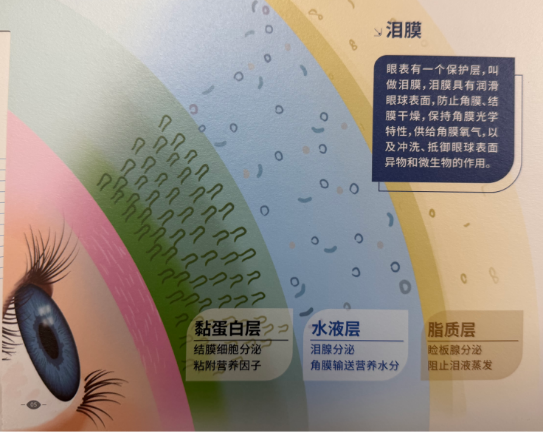 老年人更容易得干眼症吗?和年龄增长有什么关系?