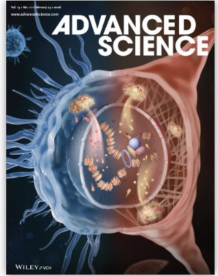 南大二附院刘安文团队研究成果发表于国际顶级期刊，首次揭示放免联合治疗相关心脏损伤防治关键策略