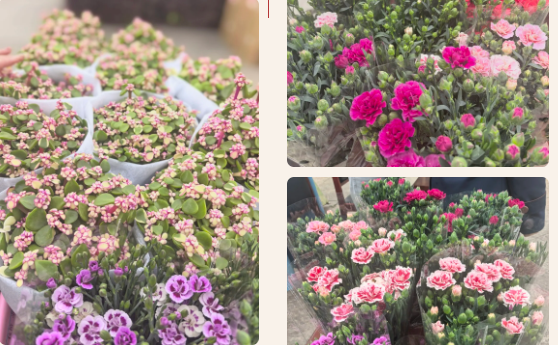 金堂县第一人民医院工会开展国际劳动妇女节活动