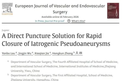 科研速递 | 浙大四院血管外科团队在 EJVES 发表原创技术成果：假性动脉瘤 PLTA 精准闭合新策略