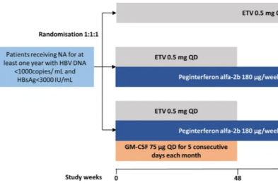 宁琴/吴迪教授团队 Anchor 研究结果发表：NA 经治 HBsAg < 3000 IU/mL 患者基于 PegIFNα治疗后停药 24 周的 H