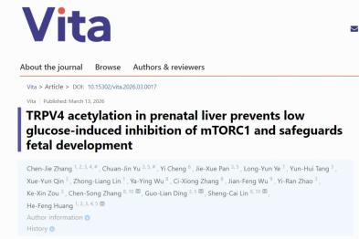 浙大四院生殖中心黄荷凤院士团队《Vita》揭示胎儿肝脏适应宫内低糖发育环境的分子机制