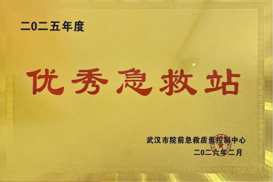 再度荣膺！青山急救站斩获市级优秀 武钢总院筑牢青山生命守护屏障
