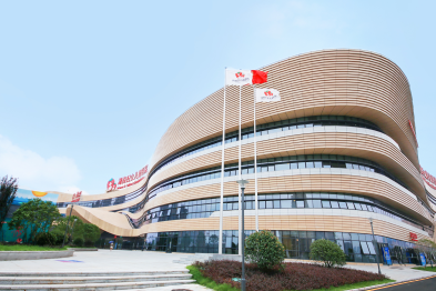 年年胖？可能不是你不努力，而是身体在「反抗」