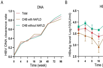 合并非酒精性脂肪肝显著降低恩替卡韦治疗慢乙肝患者的病毒学应答