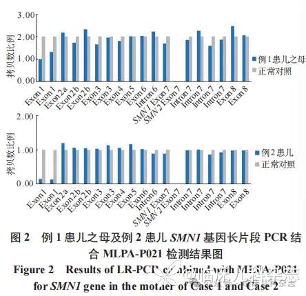外显子 1 结构变异致脊髓性肌萎缩症 2 例临床分析并文献复习