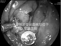 四次警报，四重挑战，四道生命之门！