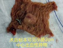 四次警报，四重挑战，四道生命之门！