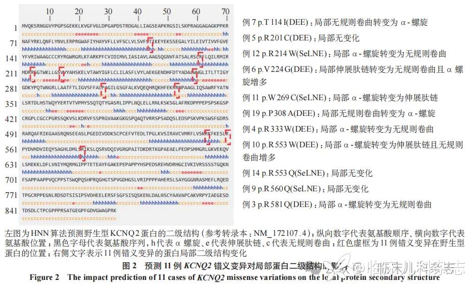 新生儿遗传性癫痫 43 例临床特征和基因型-表型关联分析