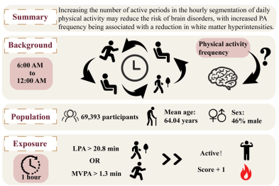 武汉大学人民医院新研究颠覆传统认知  散步、做家务比撸铁、跑步更能保护大脑