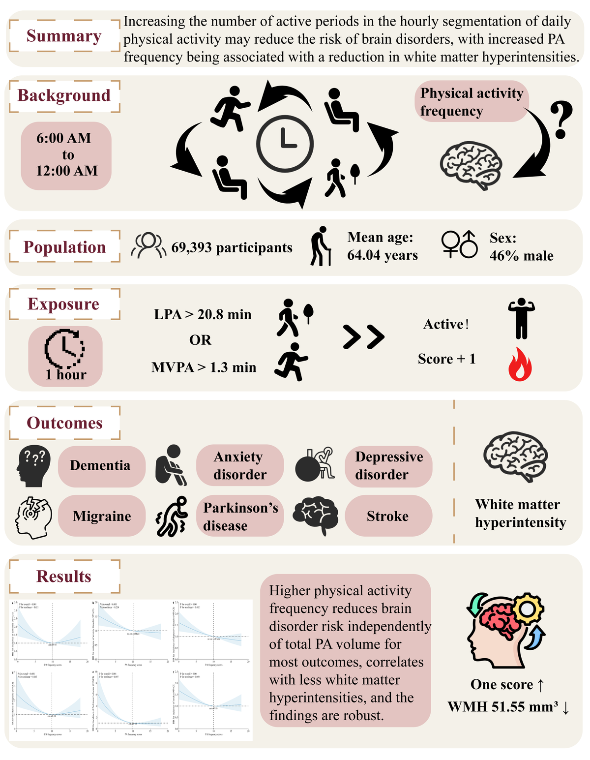 武汉大学人民医院新研究颠覆传统认知  散步、做家务比撸铁、跑步更能保护大脑