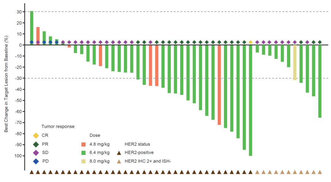 JCO 丨李进教授团队：瑞康曲妥珠单抗治疗 HER2 表达的胃/胃食管结合部腺癌和结直肠癌患者 I 期结果发布