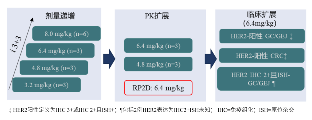 JCO 丨李进教授团队：瑞康曲妥珠单抗治疗 HER2 表达的胃/胃食管结合部腺癌和结直肠癌患者 I 期结果发布
