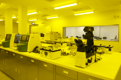 致敬「生命第一守护者」：在显微镜下托举新生希望