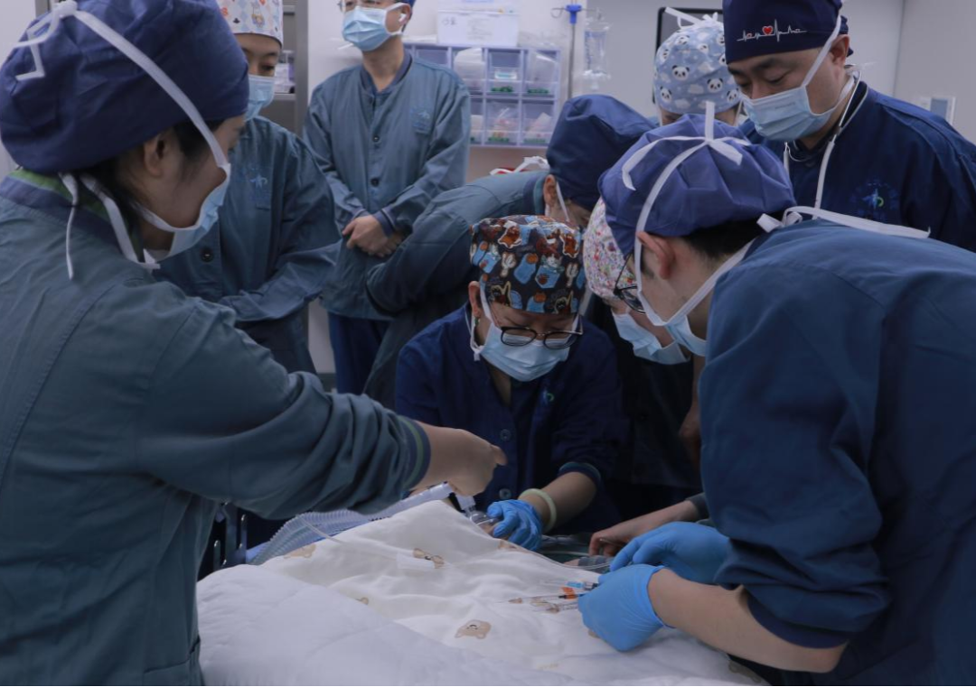 出生 3 天宝宝胃里藏 「炸弹」！西安交大一附院多学科联手为新生儿拆除罕见肿瘤