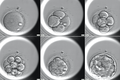 在这里，遇见生殖医学的「临床+胚胎学」黄金搭档