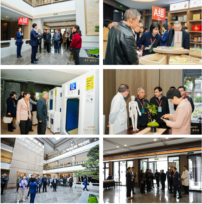 黄山华泽健康城盛大开业  构建「医、康、养、游」全生命周期康养新生态！