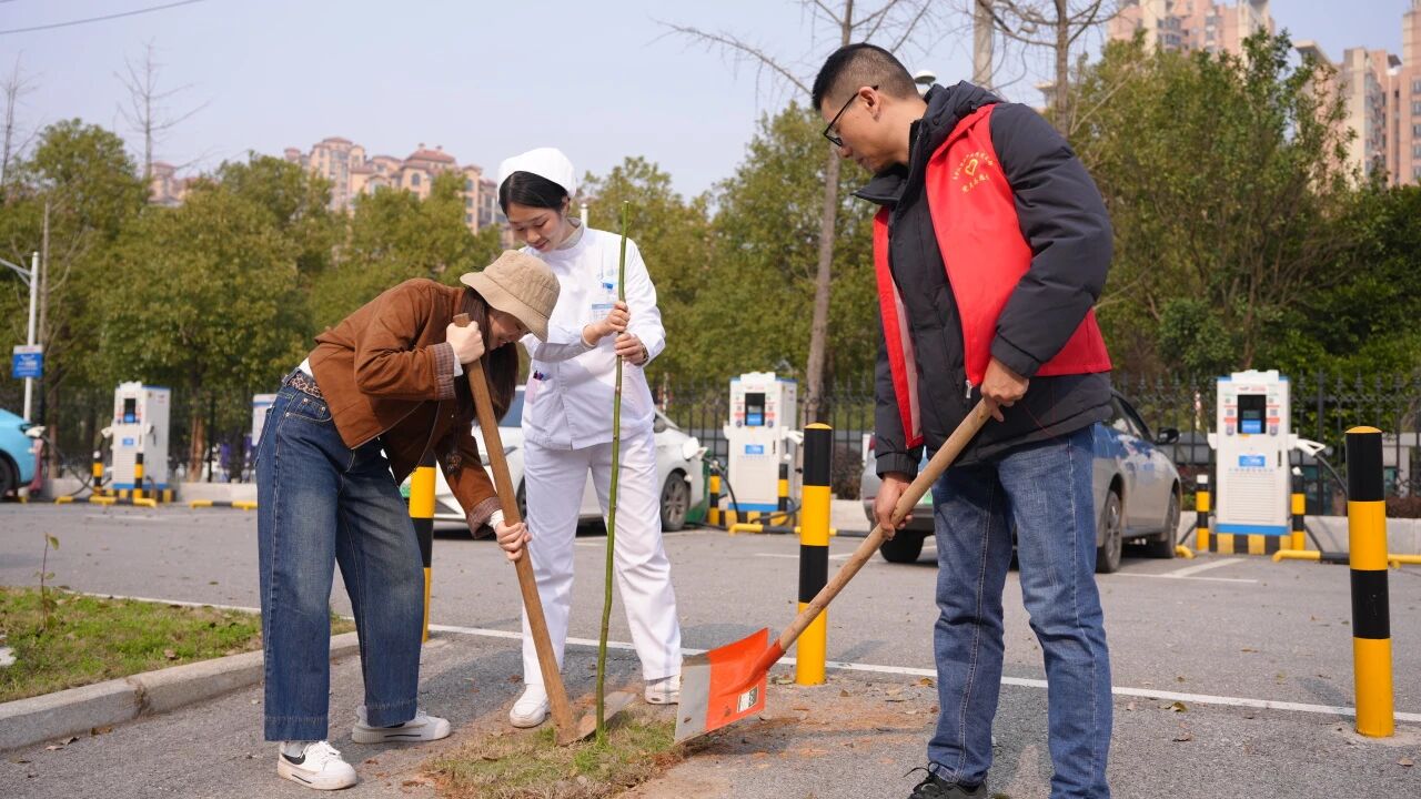春风三月践初心,健康守护暖星城——医院党支部三月活动集锦