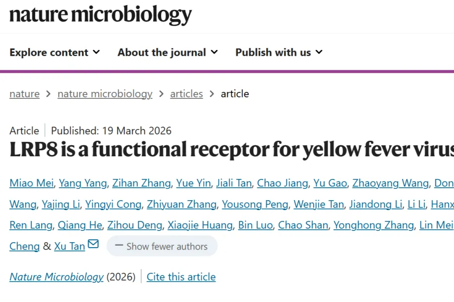 导致美国迁都、挫败拿破仑的病毒如何打开细胞的大门？创新中心谭旭团队发现黄热病毒受体