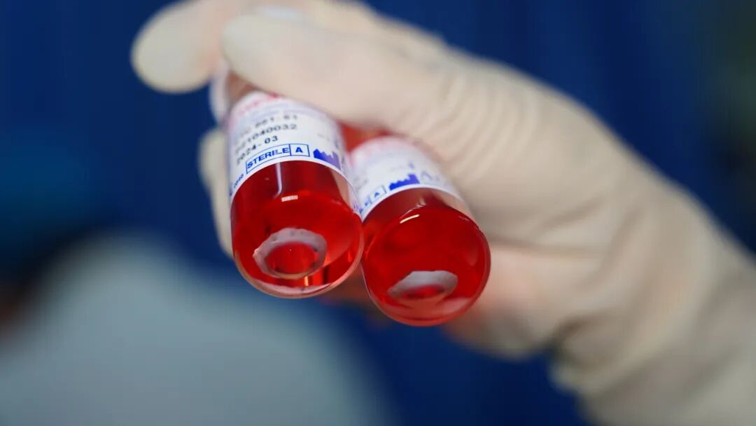 武汉市红十字普瑞眼角膜库参与 2026 年 3·26 遗体器官捐献者纪念日活动