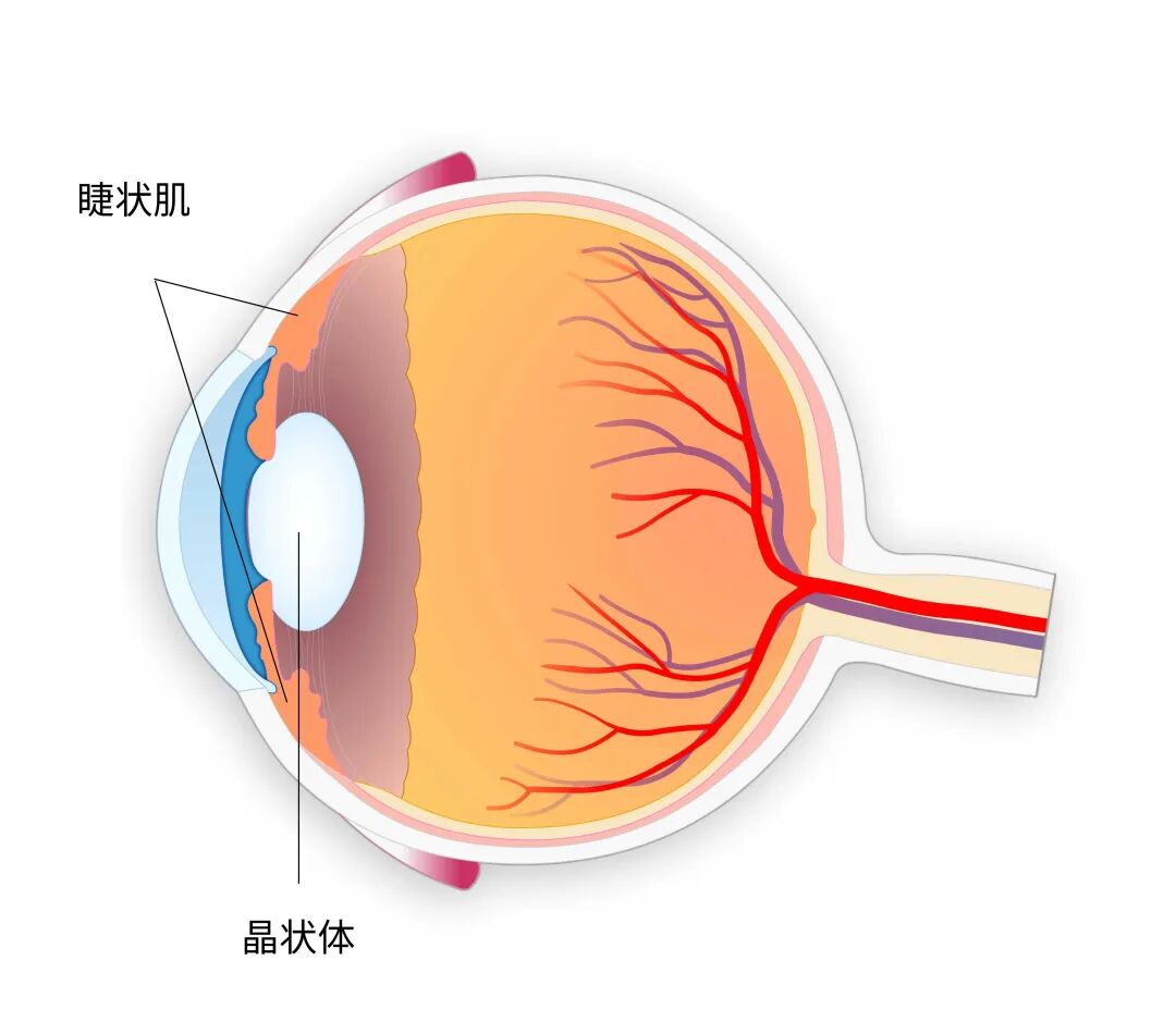 40 岁后，90% 的人都躲不过这个眼睛问题！
