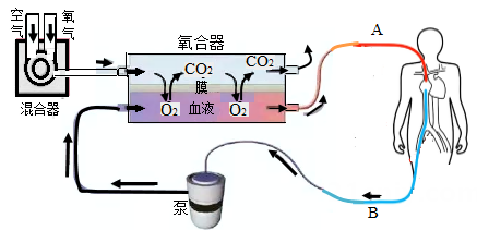 春节前夕特意返深，只为说一声「谢谢」