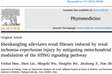 浙大四院泌尿外科周浩团队提出中医药防治肾脏缺血再灌注损伤新策略