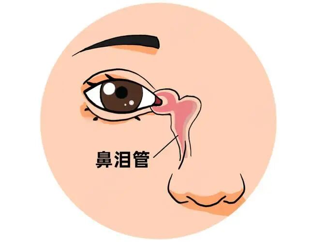 春天眼睛痒个不停怎么办？可能是你的鼻子导致的...