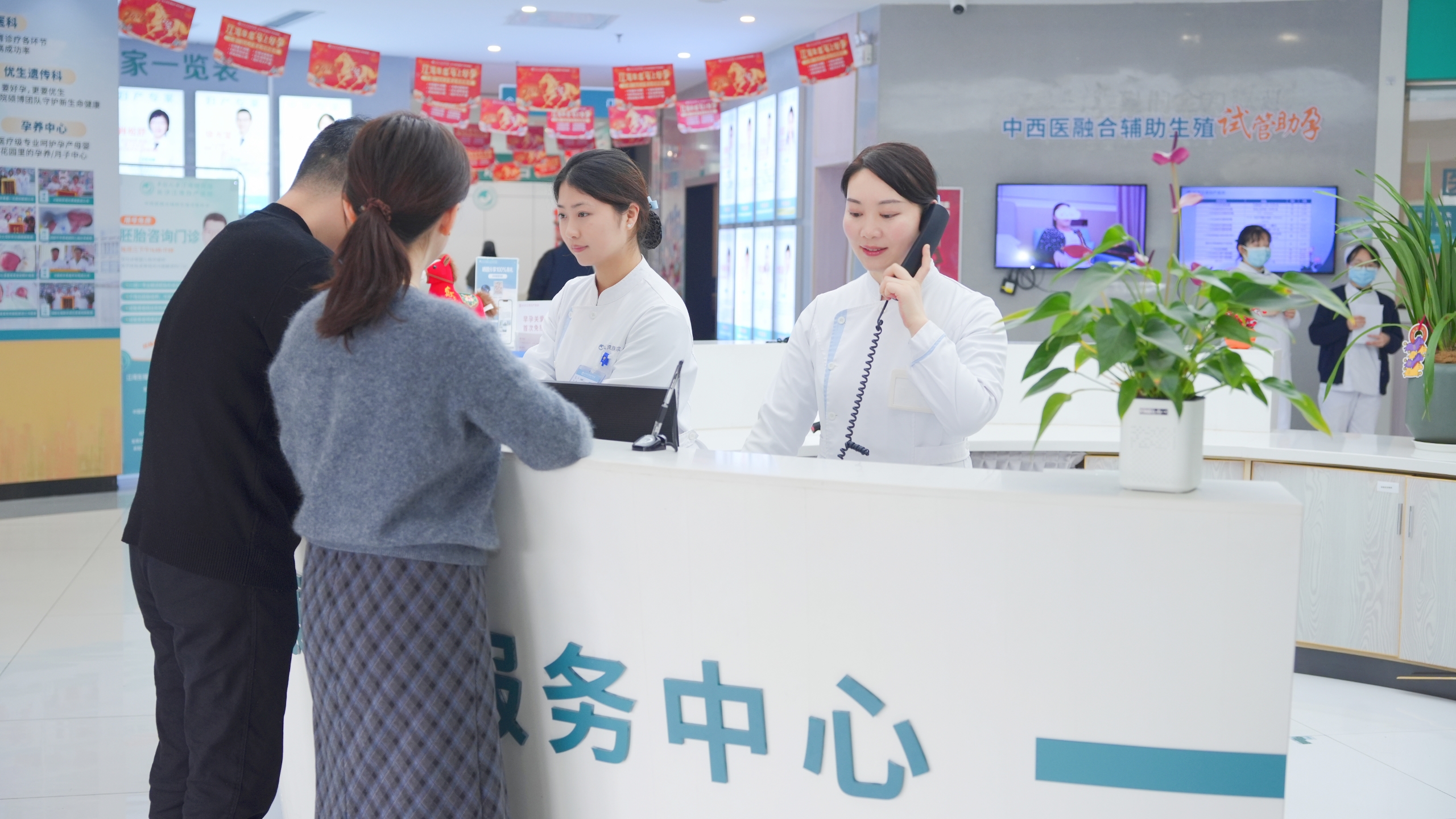 江湾春日图鉴：绣球花开