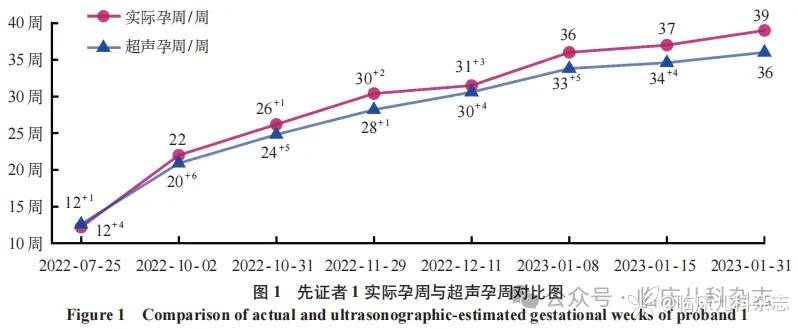 基于 X 染色体失活分析探讨 2 例 X 连锁智力障碍 Bain 型患儿的临床与遗传学特征
