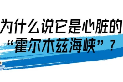 什么？身体里也有「霍尔木兹海峡」？