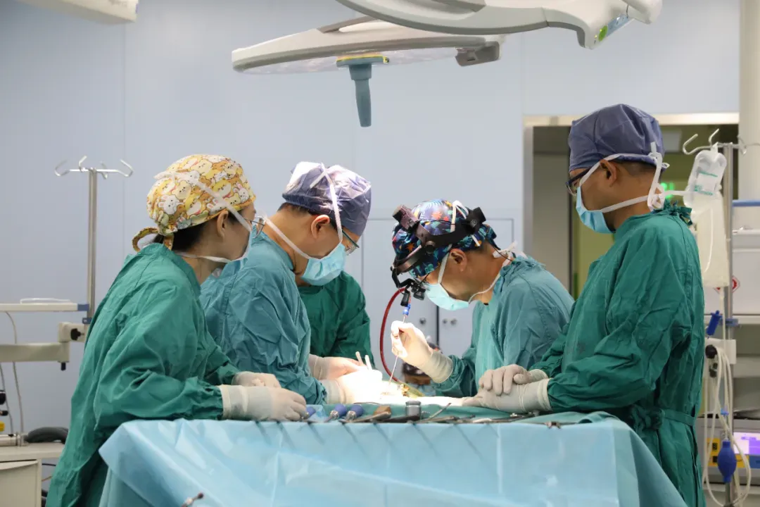 国际知名期刊《新英格兰医学杂志》副主编来院交流 聚焦这项「可动」技术