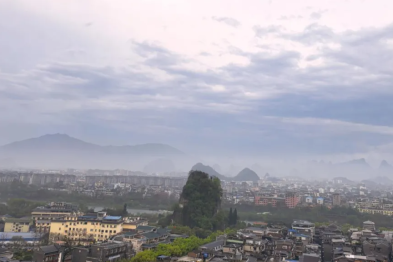 注意，蛇出没！二附院接诊蛇咬伤患者近十例