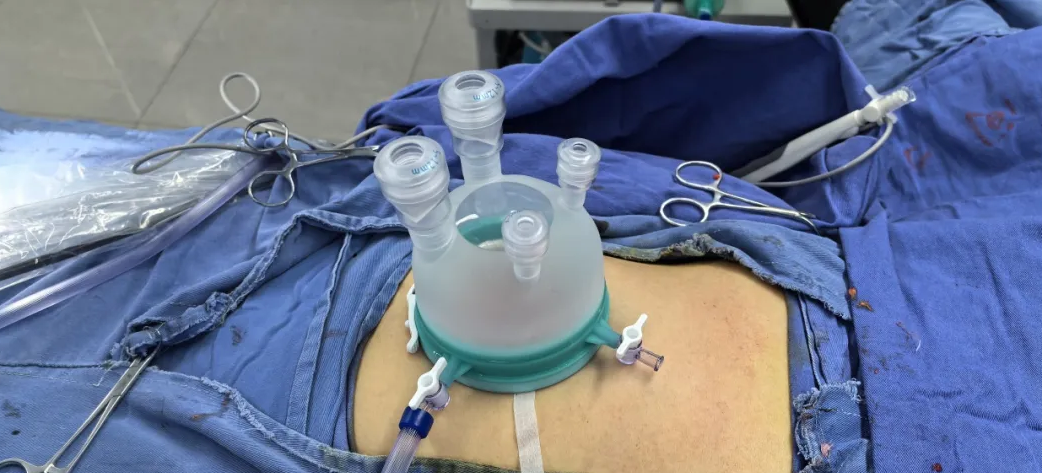 季予江:方寸之间的传承与超越