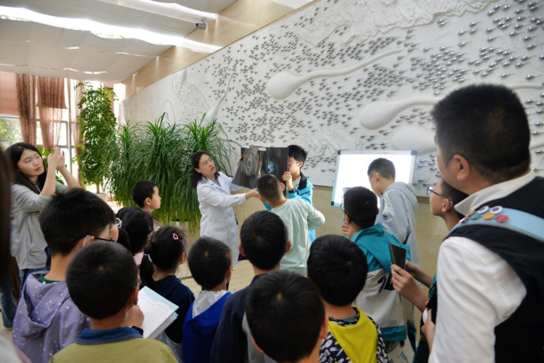 青少年探秘超声世界 感受中国原创医疗科技魅力