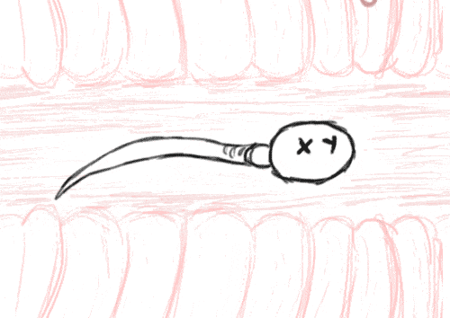 从污染到抱娃，一枚胚胎的「绝地求生」