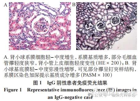 8 例儿童 IgA 肾病合并膜性肾病的临床病理学特征及预后分析：回顾性病例系列报告