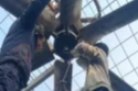 暖医情·便民行丨幕后无声，服务有情