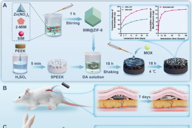 科研突破 | 骨科中心杨佩教授/马瑞副研究员团队在抗感染骨科植入物领域取得新突破