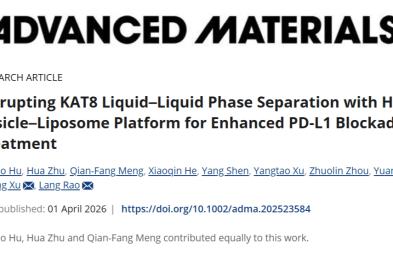 武汉大学人民医院博士生在材料科学顶级期刊《Advanced Materials》发表研究论文