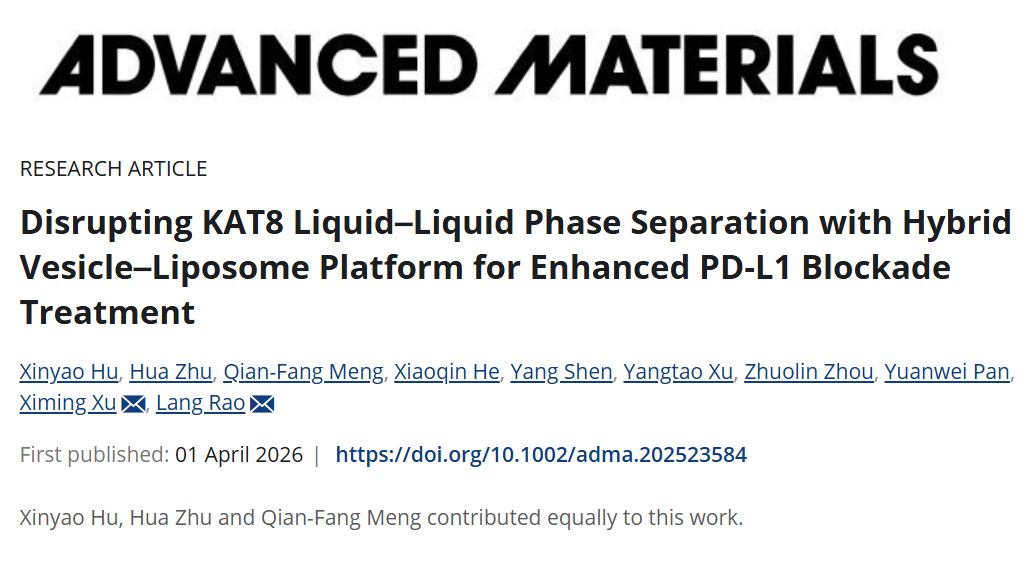 武汉大学人民医院博士生在材料科学顶级期刊《Advanced Materials》发表研究论文