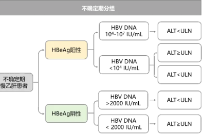 【肝霖特写】3 张图看懂不确定期慢乙肝患者的肝癌风险与抗病毒治疗获益