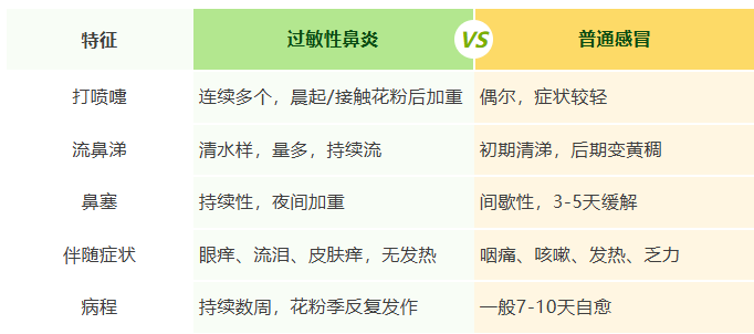 【科普】春天打喷嚏、流鼻涕？分清过敏和感冒！
