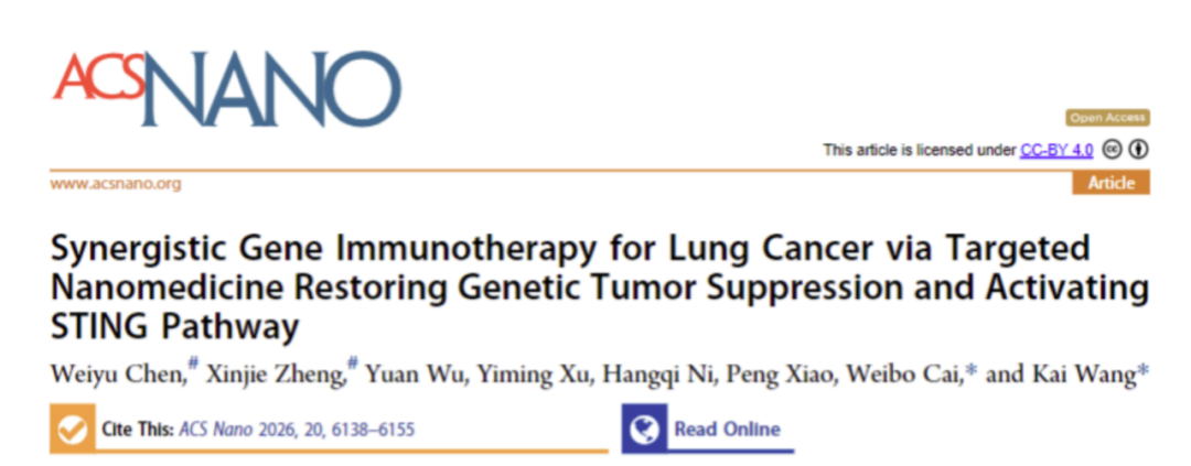 肺癌基因免疫治疗新突破！王凯教授团队研发新型抑癌基因递送系统，协同激活抗肿瘤免疫